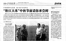 擴種提質齊頭并進線上線下全面開花 “松江大米”中秋節前請你來嘗鮮