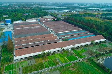 2002年收購新五茹塘種豬場，經改造后，可飼養年圈存母豬1200頭，商品豬圈存量2000頭。