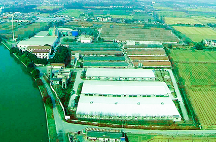 2009年薛家豬南區返建種豬區